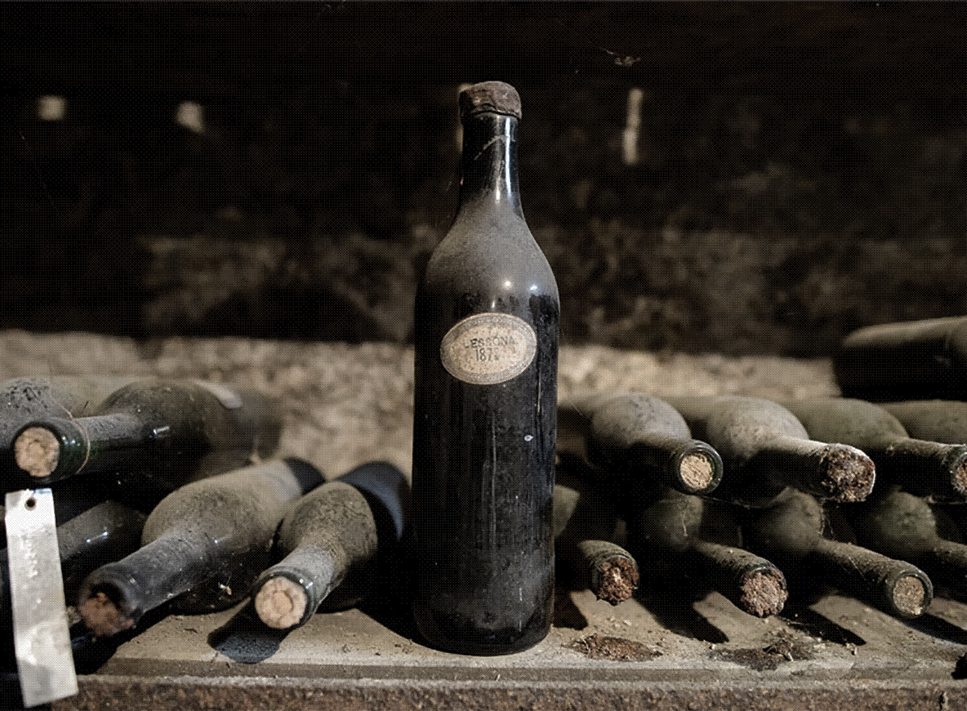 slider-storia-tenute.sella-storia 2