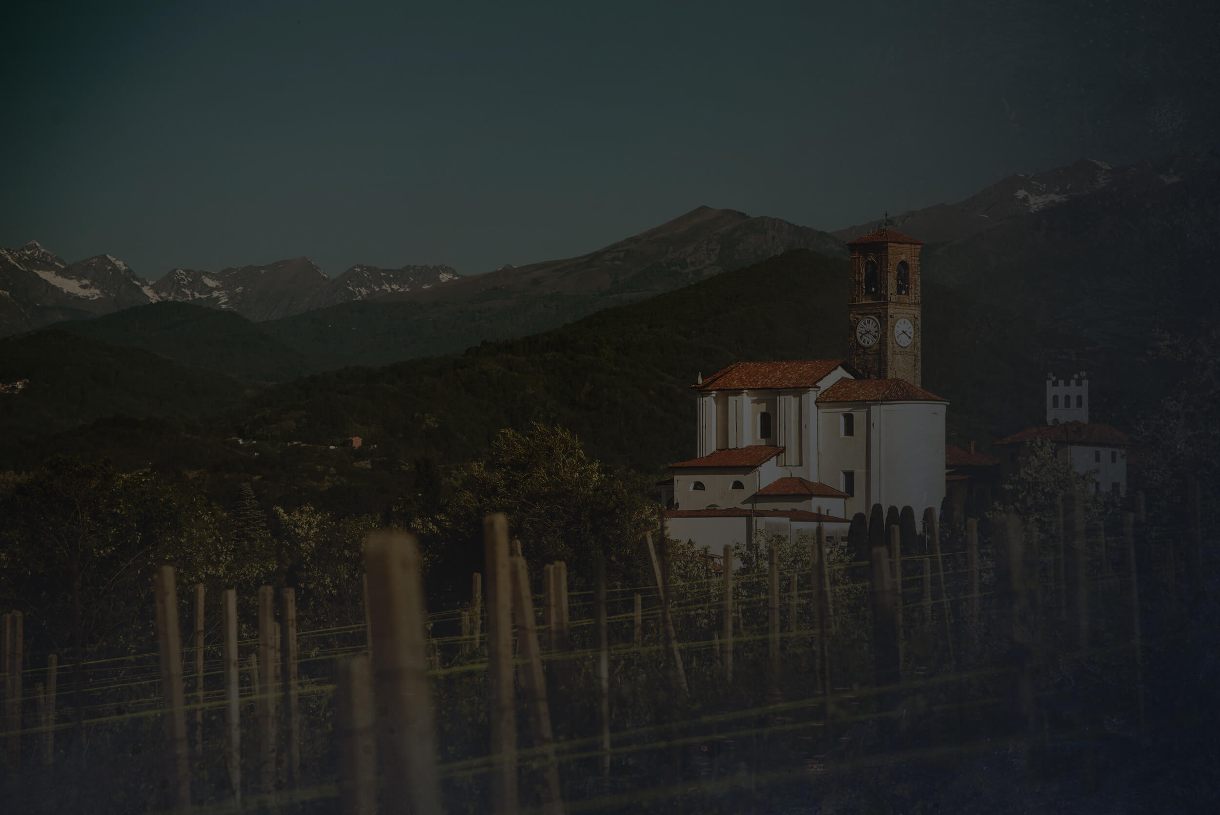 tenute-sella-piemonte